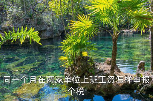 同一個月在兩家單位上班工資怎樣申報(bào)個稅