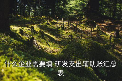 研發(fā)支出 輔助賬匯總表如何填寫(xiě)，什么企業(yè)需要填 研發(fā)支出輔助賬匯總表