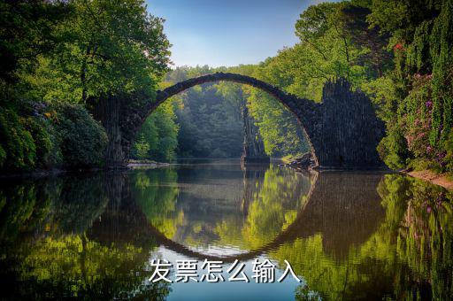 北京出租發(fā)票如何輸入查詢，發(fā)票怎么輸入