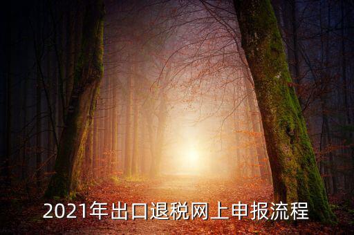 如何登錄出口退稅網(wǎng)，出口退稅申報(bào)流程操作