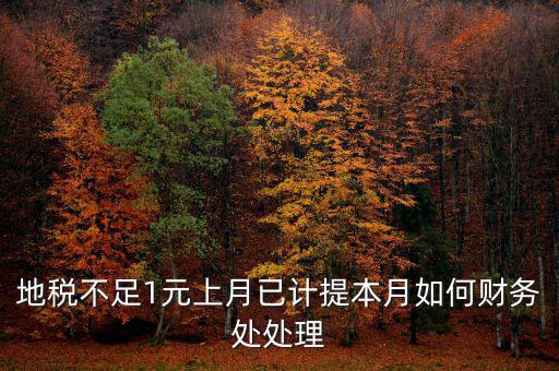 財務(wù)處如何落實數(shù)據(jù)地稅，地稅不足1元上月已計提本月如何財務(wù)處處理