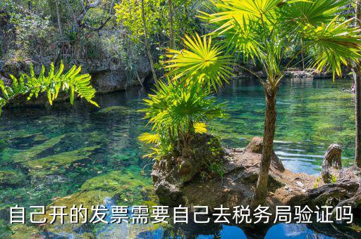 如何去稅務(wù)局驗證發(fā)票嗎，發(fā)票怎么去稅務(wù)局驗證需要什么資料
