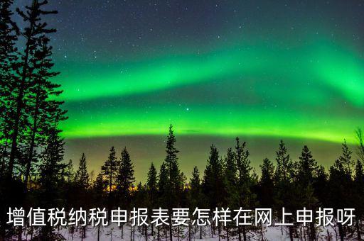 增值稅網(wǎng)上如何申報系統(tǒng)，增值稅納稅申報表要怎樣在網(wǎng)上申報呀