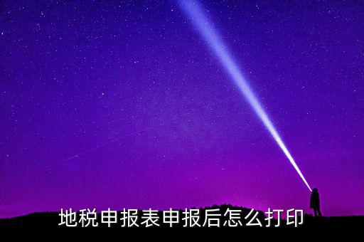 地稅如何打印申報表，地稅納稅申報表怎么打印