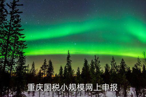 重慶市電子稅務局如何申報，重慶國稅12366電子稅務局怎樣申報財務報表