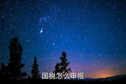 北京國(guó)稅如何登陸申報(bào)，國(guó)稅如何網(wǎng)上零申報(bào) 具體步驟有五個(gè)
