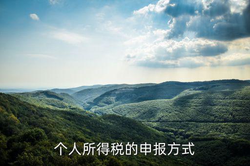 如何申請(qǐng)個(gè)人所得稅，個(gè)稅怎么申報(bào)