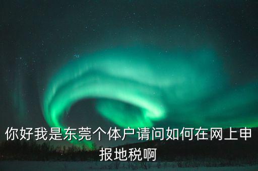 東莞個(gè)稅如何申報(bào)，你好我是東莞個(gè)體戶請問如何在網(wǎng)上申報(bào)地稅啊