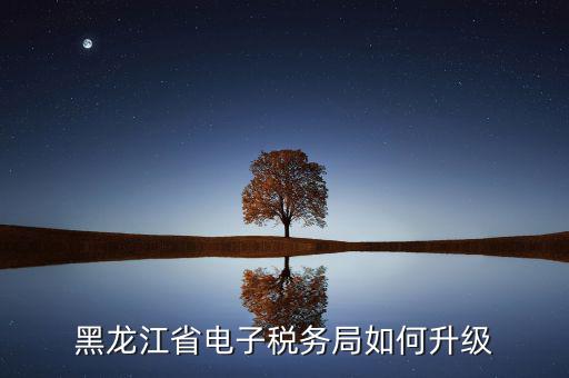 如何升級(jí)國(guó)稅系統(tǒng)，河南省電子稅務(wù)局版本過(guò)低怎么升級(jí)