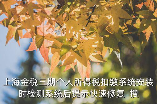 個(gè)稅安裝包如何恢復(fù)，上海金稅三期個(gè)人所得稅扣繳系統(tǒng)安裝時(shí)檢測(cè)系統(tǒng)后提示快速修復(fù)  搜