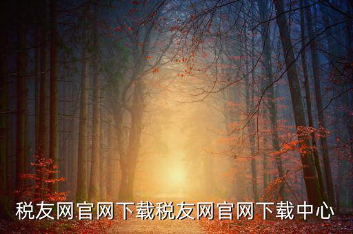 稅友如何下載，個(gè)稅在稅友網(wǎng)上下載下來了然后怎么安裝