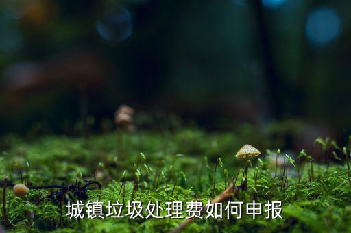 城市生活垃圾費如何申報，城鎮(zhèn)垃圾處理費如何申報