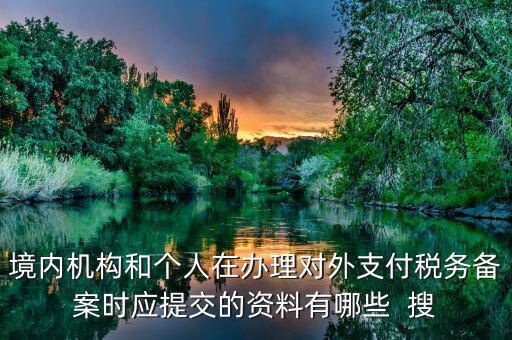 如何填列對外支付稅務(wù)備案表，境內(nèi)機(jī)構(gòu)和個人在辦理對外支付稅務(wù)備案時應(yīng)提交的資料有哪些  搜