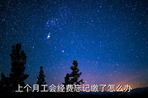 如何補繳上月工會經費地稅，工會經費上月已申報但未繳費本月可以補交嗎在哪里補交是在報稅系統(tǒng)