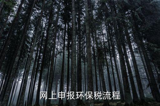 電子稅務(wù)局環(huán)保稅如何申報(bào)，2021年環(huán)保稅怎么申報(bào)