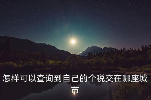 如何查詢(xún)個(gè)人所得稅所交地點(diǎn)，怎樣可以查詢(xún)到自己的個(gè)稅交在哪座城市