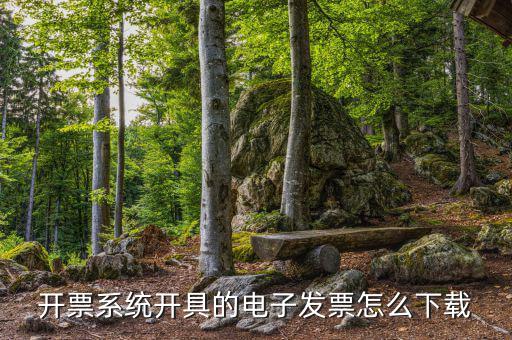 發(fā)票助手如何安裝在手機(jī)上，增值稅發(fā)票稅控開票軟件怎么安裝