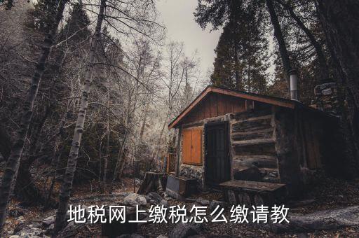 地稅如何交稅嗎，地稅網(wǎng)上繳稅怎么繳請教