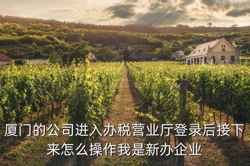 廈門公司如何辦理稅務(wù)，廈門公司如何申請一般納稅人