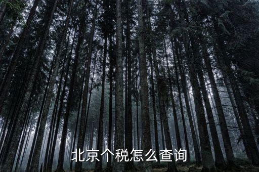 北京地稅局官網(wǎng)如何查個(gè)稅，怎么查詢(xún)最新北京個(gè)稅繳納情況