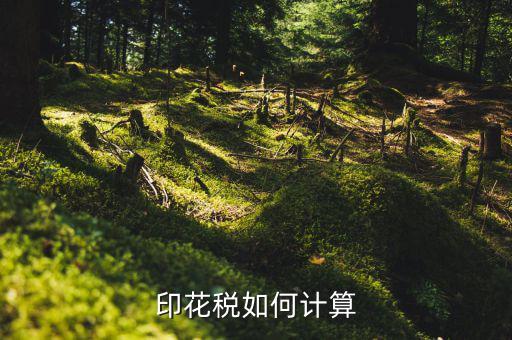 廈門印花稅如何計算器，印花稅如何計算