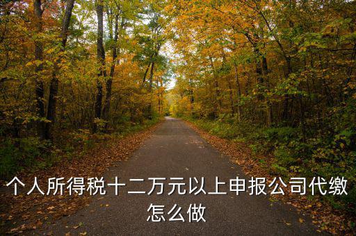 如何做好12萬元申報征收工作，個人所得稅十二萬元以上申報公司代繳怎么做