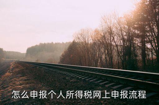 泉州個(gè)人所得稅如何網(wǎng)上申報(bào)，個(gè)人所得稅網(wǎng)上申報(bào)步驟