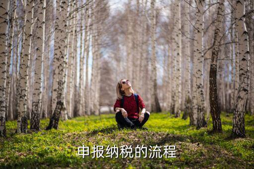 安徽如何申報納稅，納稅申報的具體流程