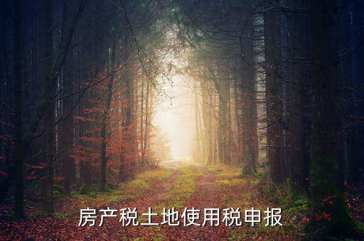 金稅三期如何申報(bào)土地使用稅，房產(chǎn)稅土地使用稅申報(bào)