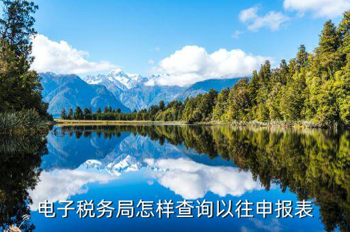 云廳里如何查看往期申報(bào)表，國(guó)稅網(wǎng)上辦稅平臺(tái)如何查詢(xún)以前年度增值稅納稅申報(bào)表