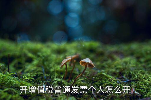 普票如何開給個(gè)人，增值稅普通發(fā)票開個(gè)人需要什么資料