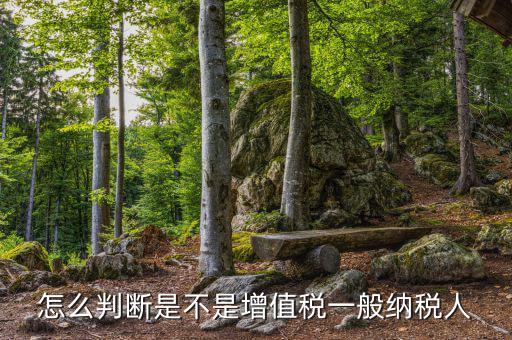 如何查詢?cè)鲋刀愐话慵{稅人，查看是否為增值稅一般納稅人