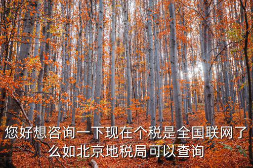您好想咨詢一下現(xiàn)在個(gè)稅是全國聯(lián)網(wǎng)了么如北京地稅局可以查詢