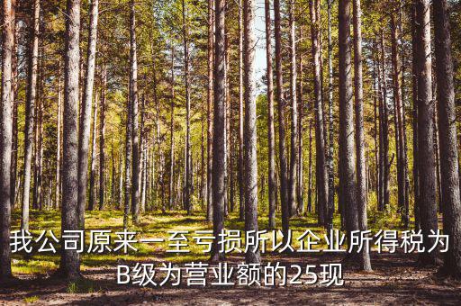 我公司原來一至虧損所以企業(yè)所得稅為B級(jí)為營(yíng)業(yè)額的25現(xiàn)