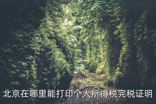 北京如何打個稅證明，北京買房 如何開個稅證明