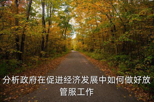 如何做好國稅系統(tǒng)的放管服工作，分析政府在促進(jìn)經(jīng)濟(jì)發(fā)展中如何做好放管服工作