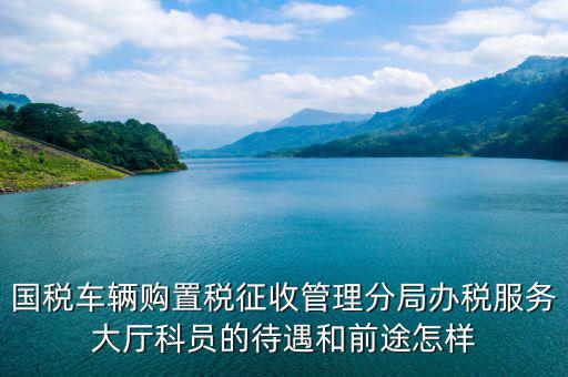 辦稅員工資如何，國(guó)稅車(chē)輛購(gòu)置稅征收管理分局辦稅服務(wù)大廳科員的待遇和前途怎樣