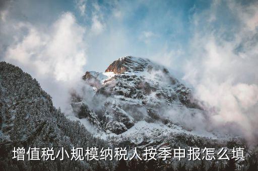 小規(guī)模納稅人如何按季申報(bào)，增值稅小規(guī)模納稅人按季申報(bào)怎么填