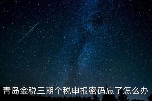 如何重置金三個稅系統(tǒng)申報密碼，青島金稅三期個稅申報密碼忘了怎么辦