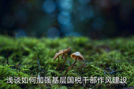 如何加強(qiáng)稅務(wù)局隊(duì)伍建設(shè)，如何激發(fā)國(guó)稅基層干部隊(duì)伍的活力