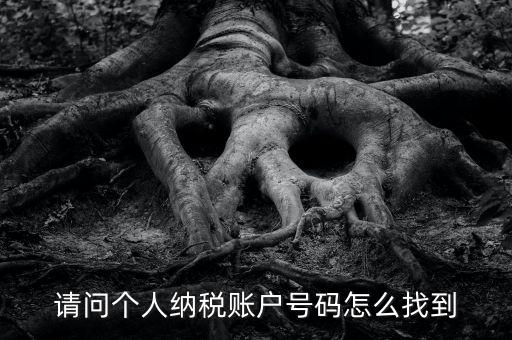 如何查詢個人稅務編號查詢，如何查看個人名下的稅務證