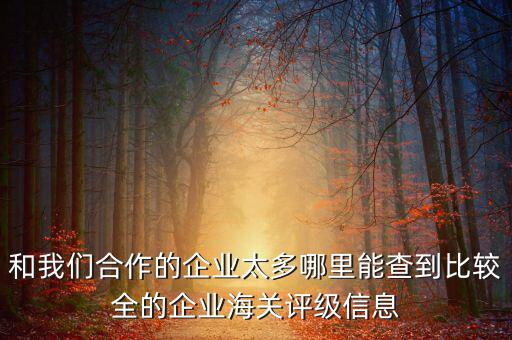 和我們合作的企業(yè)太多哪里能查到比較全的企業(yè)海關評級信息