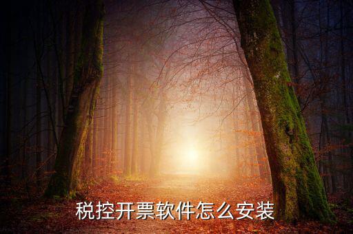 稅友稅控軟件如何安裝，稅控開票軟件怎么安裝
