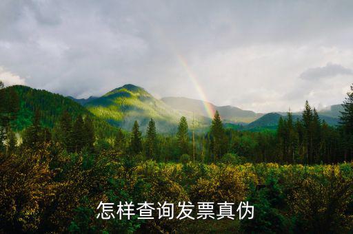 2018年如何查發(fā)票真?zhèn)?，如何發(fā)票查詢真?zhèn)?/></a></span><span id=