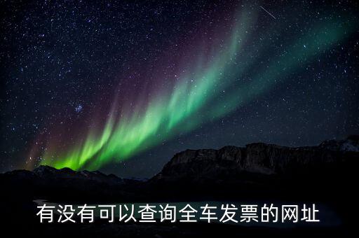 有沒有可以查詢全車發(fā)票的網址