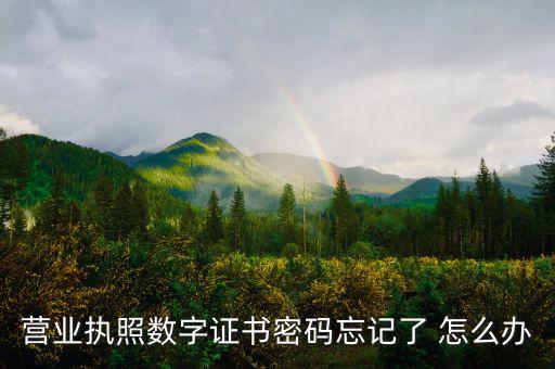 如何找回數(shù)字證書密碼，營業(yè)執(zhí)照數(shù)字證書密碼忘記了 怎么辦