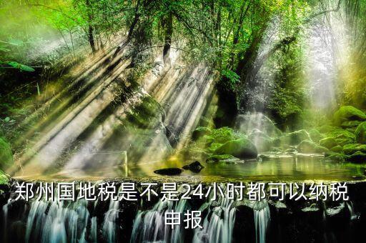 鄭州如何進行地稅網上申報，鄭州國地稅是不是24小時都可以納稅申報