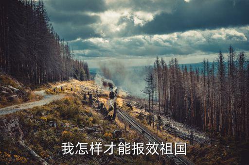 開的稅如何報(bào)效，報(bào)效祖國最好的辦法是什么
