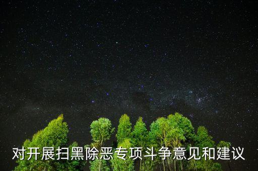 對(duì)開(kāi)展掃黑除惡專(zhuān)項(xiàng)斗爭(zhēng)意見(jiàn)和建議