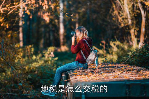 吉林市地稅如何收取，國地稅怎么收